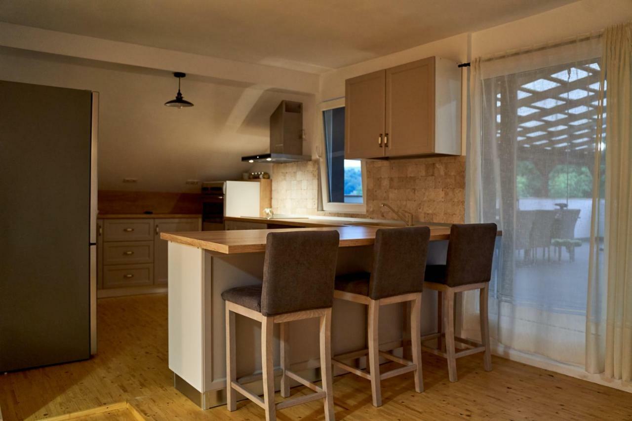 Lavand House Vişeu de Sus المظهر الخارجي الصورة