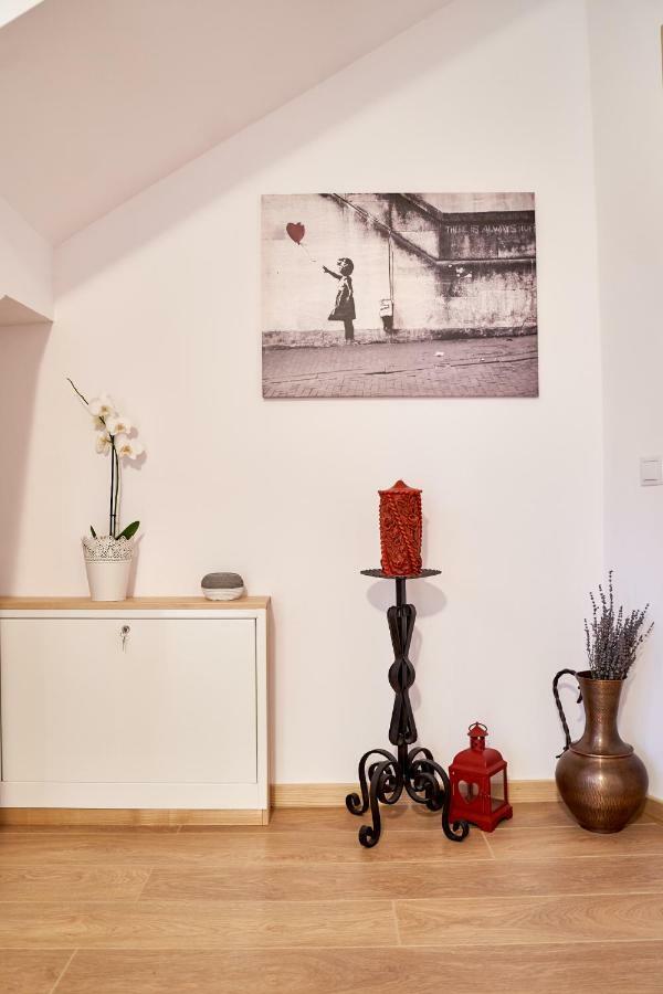 Lavand House Vişeu de Sus المظهر الخارجي الصورة
